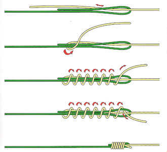 albright knot