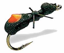 ant fly ant fly