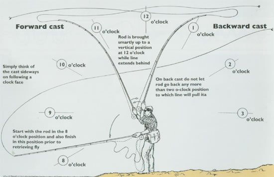 backward forward casting