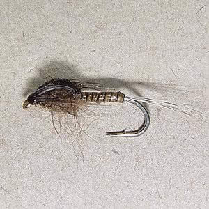 fly fishing nymph fly fishing nymph