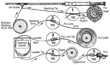 fly fishing tacklet