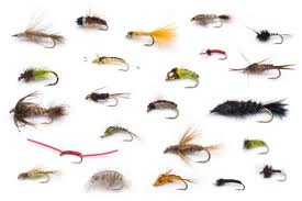 fly fishing flies